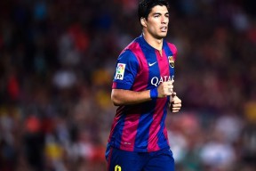 开云电竞中国-数字化裁判员培训平台获得行业高度认可，提升裁判水平，裁判认证系统