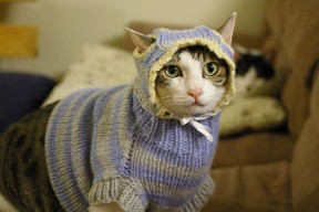 kering.com-_勇士队展现三分神技，连续获胜_，勇士队三分投手