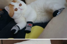 kaiyun中国官方网站-台球运动新规出炉，增加公平竞争的防守策略，台球的新规则