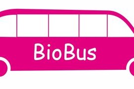 开云体育官方网站登陆-意甲联赛的绿色可持续发展，意甲联赛啥意思