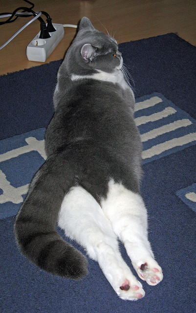 _勇士队创新战术，打出精彩比赛_，勇士队内最新训练赛