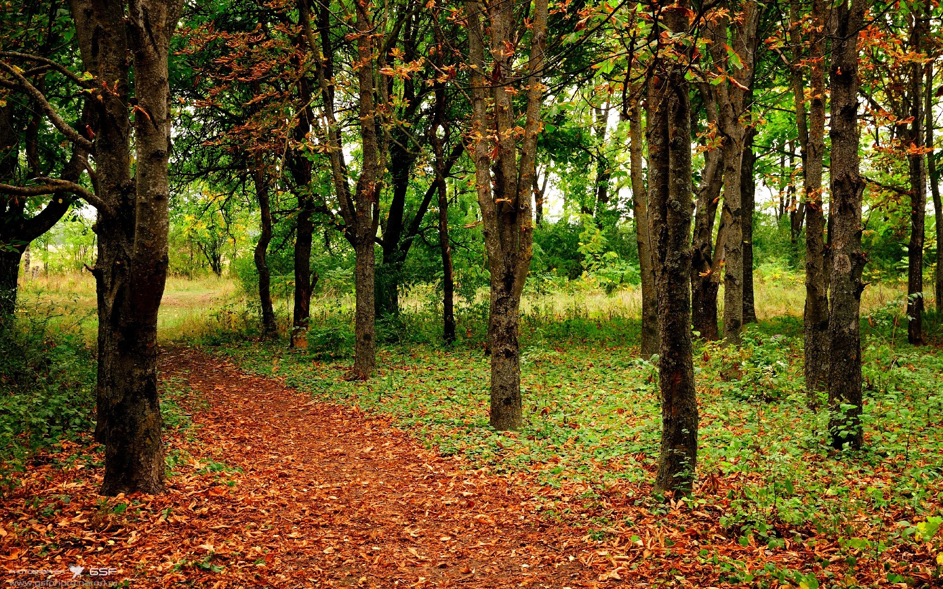 《《绝地求生》世界巡回赛，千万奖金争夺激烈》，绝地求生比赛结果2020