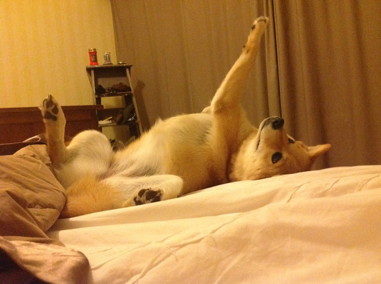 国家体育总局重点支持青少年足球,打造未来足球强国路线图,国家对青少年足球训练的重视